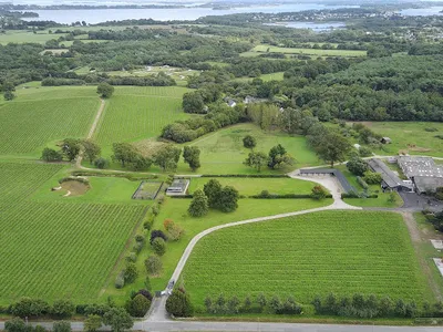 Domaine Lamballe — Vignoble à Baden