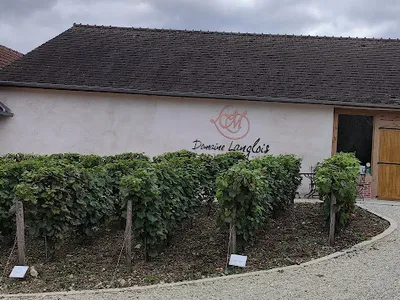 Domaine Langlois Coteaux Du Giennois Pouilly-Fumé — Vignoble à Pougny