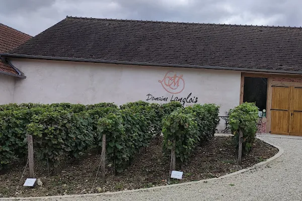 Domaine Langlois Coteaux Du Giennois Pouilly-Fumé, Vignoble à Pougny — Cabinet