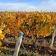 DOMAINE MOSNY