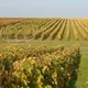 Domaine Sauvete