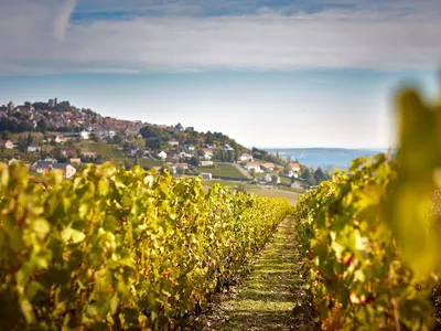 Domaine Vacheron Vignerons — Établissement vinicole à Sancerre