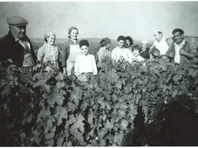 Domaine Vincent Lacour — Établissement vinicole à Saint-Georges-sur-Cher