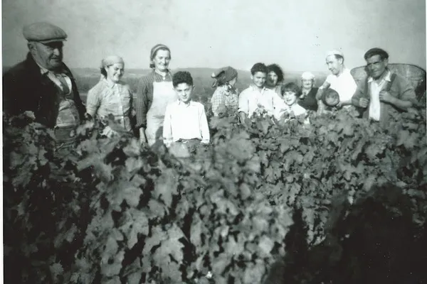 Domaine Vincent Lacour, Établissement vinicole à Saint-Georges-sur-Cher — Cabinet