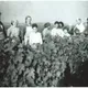 Domaine Vincent Lacour