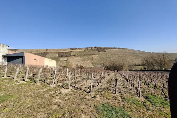 Famille Bourgeois - Dégustation et vente, Vignoble à Sancerre — Cabinet