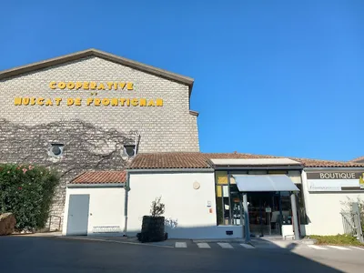 Frontignan Muscat — Cave à vins à Frontignan
