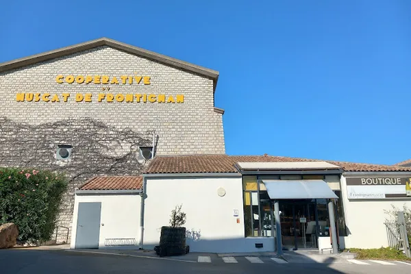 Frontignan Muscat, Cave à vins à Frontignan — Cabinet
