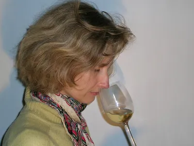 L'école du vin Ludivinum — Centre de formation continue à Clermont-l'Hérault