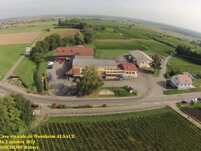 La Cave du Vieil Armand — Vignoble à Wuenheim