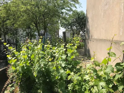 La Commanderie du Clos Montmartre — Domaines et châteaux à Paris