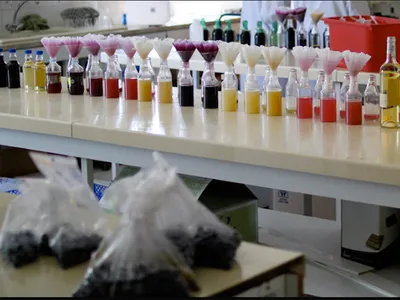 Languedoc Oenologie — Laboratoire à Fabrègues