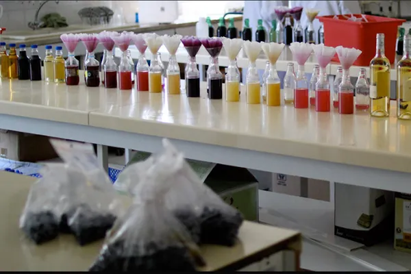 Languedoc Oenologie, Laboratoire à Fabrègues — Cabinet