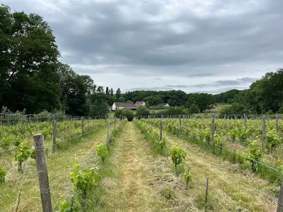 Le Clos Férout — Vignoble à Le Heaulme