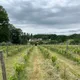 Le Clos Férout