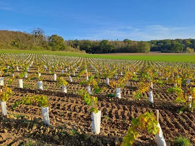 Le Vignoble de Montépilloy — Établissement vinicole à Montépilloy
