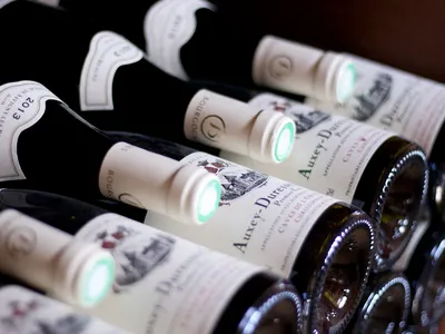 Les Caves de l'Orangerie - Domaine Christophe PONT — Vignoble à Savigny-lès-Beaune