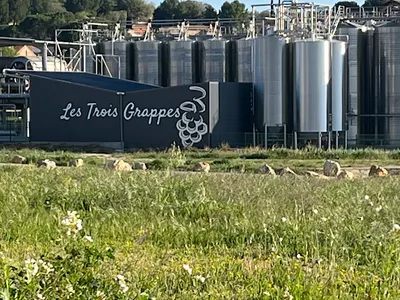 Les Trois Grappes, cave coopérative — Établissement vinicole à Le Pouget
