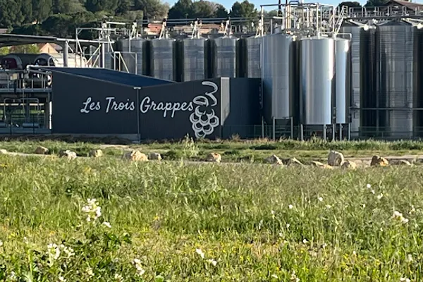 Les Trois Grappes, cave coopérative, Établissement vinicole à Le Pouget — Cabinet