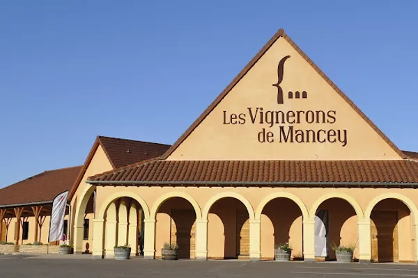 Les Vignerons de Mancey - Magasin, Caviste à Tournus — Cabinet