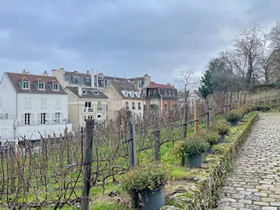 Les Vignes — Arrêt de bus à Paris