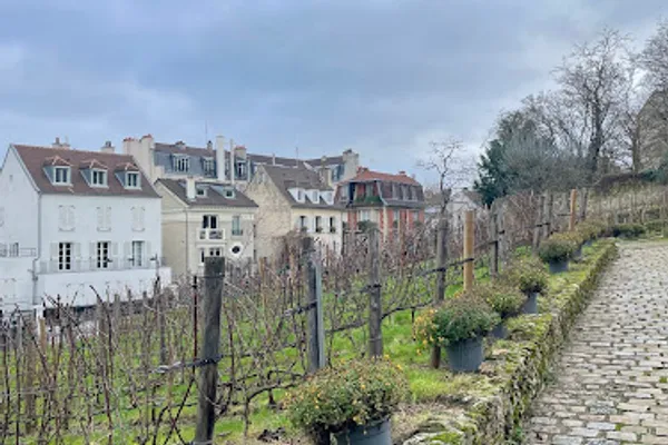 Les Vignes, Arrêt de bus à Paris — Cabinet