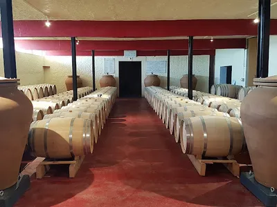 Marquis de Saint-Estèphe (Cavé Coopérative) — Établissement vinicole à Saint-Estèphe