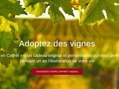 Mes Vignes en Coffret — Service d'e-commerce à Neuilly-sur-Seine