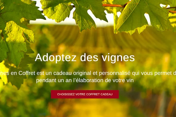 Mes Vignes en Coffret, Service d'e-commerce à Neuilly-sur-Seine — Cabinet