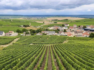 My Winedays — Agence de voyages à Paris