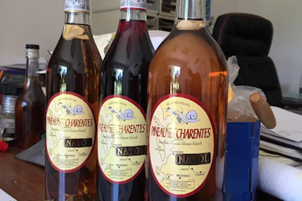 Natol - Maison Barbotin, Vignoble à Meursac — Cabinet