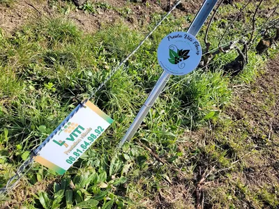 Prestations Viticoles Lj Viti — Service agricole à Pavant