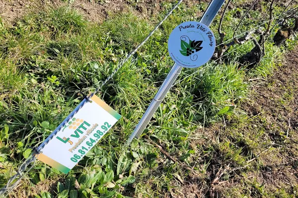 Prestations Viticoles Lj Viti, Service agricole à Pavant — Cabinet