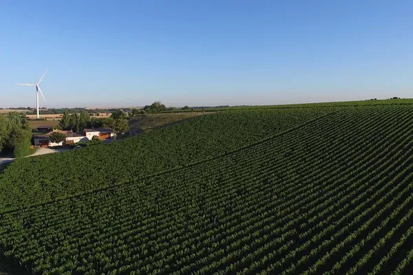 PRIEURE LA CHAUME, Établissement vinicole à Vix — Cabinet