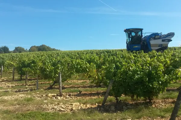 S.C.E.V Jean-Jacques Bardin, Vignoble à Pouilly-sur-Loire — Cabinet
