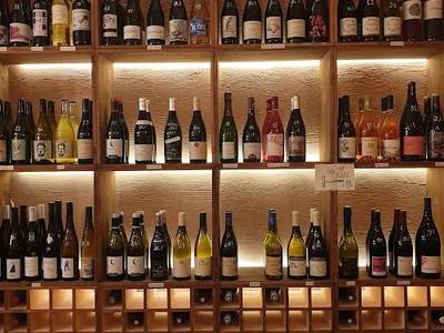 Sapajou - Cave à vin Paris — bars à Paris