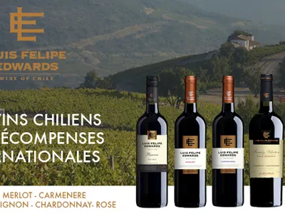 Saphy (Société d'import export vins spiriteux cosmétiques, eaux) — Société d'import-export à Maisons-Alfort