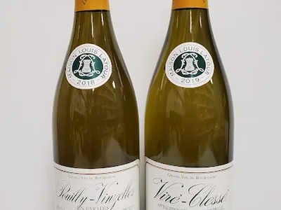 Supérette de la Tour d'Auvergne — Bars à vin à Paris