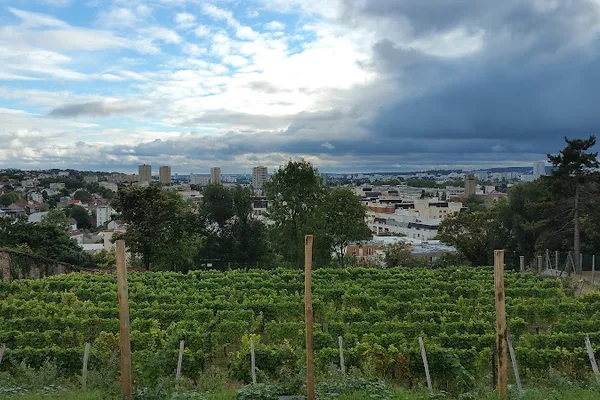 Vigne de Cachan, Établissement vinicole à Cachan — Cabinet