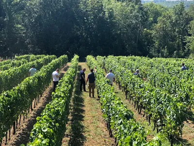 Vigne Envie — Établissement vinicole à Guérard