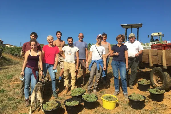Vignerons & Caviste, Cave à vins à Paris — Cabinet