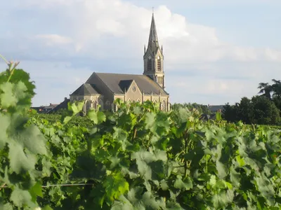 Vignoble du Beau Soleil EARL — Établissement vinicole à Bellevigne-en-Layon