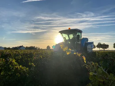 Vignoble du Chant d'Oiseaux — Établissement vinicole à Mareau-aux-Prés