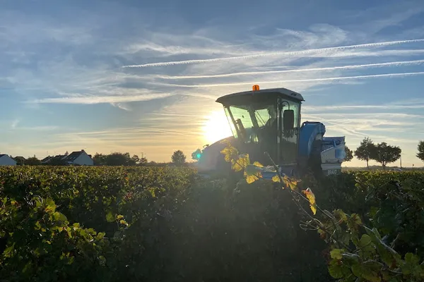 Vignoble du Chant d'Oiseaux, Établissement vinicole à Mareau-aux-Prés — Cabinet