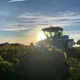 Vignoble du Chant d'Oiseaux