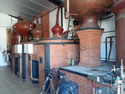 Vignoble Favre & Fils - Boutique sur l'exploitation et vente de vin et pineau BIO en ligne — Établissement vinicole à Saint-Pierre-d'Oléron