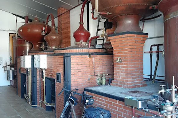 Vignoble Favre & Fils - Boutique sur l'exploitation et vente de vin et pineau BIO en ligne, Établissement vinicole à Saint-Pierre-d'Oléron — Cabinet