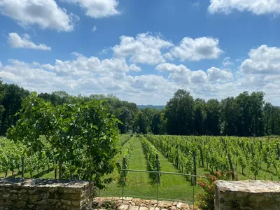 Vignoble Historique Guérardais — Vignoble à Guérard