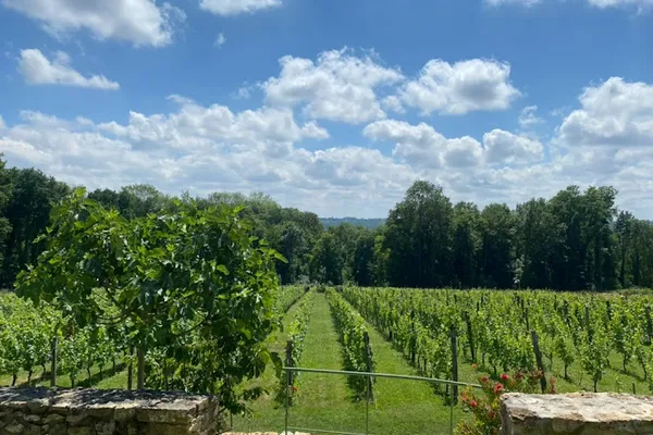 Vignoble Historique Guérardais, Vignoble à Guérard — Cabinet