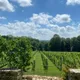 Vignoble Historique Guérardais